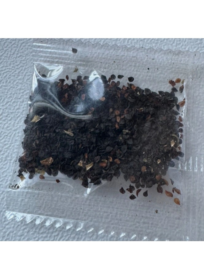 الواحة-TH 220 بذرة زهرة القرنفل، زهرة القرنفل ثنائية اللون، نبات معمر متعدد الألوان - Image 4